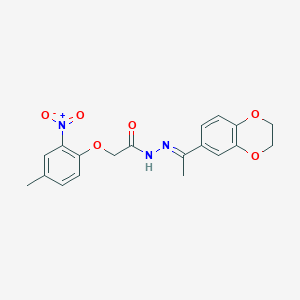 molecular formula C19H19N3O6 B5670978 N'-[1-(2,3-dihydro-1,4-benzodioxin-6-yl)ethylidene]-2-(4-methyl-2-nitrophenoxy)acetohydrazide 