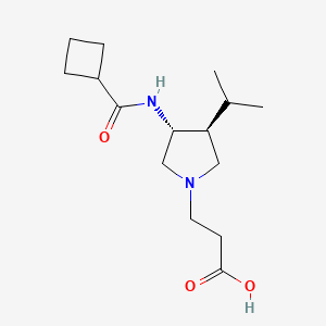 molecular formula C15H26N2O3 B5671415 3-{rel-(3R,4S)-3-[(cyclobutylcarbonyl)amino]-4-isopropyl-1-pyrrolidinyl}propanoic acid hydrochloride 