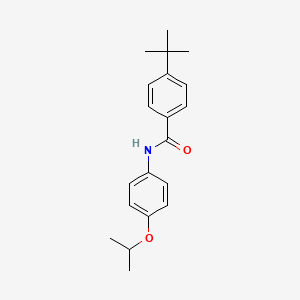 molecular formula C20H25NO2 B5671615 4-tert-butyl-N-(4-isopropoxyphenyl)benzamide 
