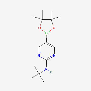 molecular formula C14H24BN3O2 B567162 N-(tert-Butyl)-5-(4,4,5,5-tetramethyl-1,3,2-dioxaborolan-2-yl)pyrimidin-2-amine CAS No. 1218791-43-5