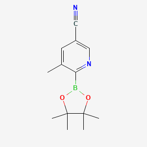 molecular formula C13H17BN2O2 B567165 5-Methyl-6-(4,4,5,5-tetramethyl-1,3,2-dioxaborolan-2-yl)nicotinonitrile CAS No. 1310384-33-8