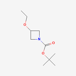 molecular formula C10H19NO3 B567207 tert-Butyl 3-ethoxyazetidine-1-carboxylate CAS No. 1314985-57-3