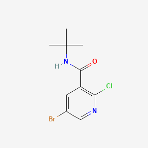 molecular formula C10H12BrClN2O B567211 5-Bromo-N-(tert-butyl)-2-chloronicotinamide CAS No. 1247217-76-0