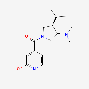 molecular formula C16H25N3O2 B5672983 (3S*,4R*)-4-isopropyl-1-(2-methoxyisonicotinoyl)-N,N-dimethyl-3-pyrrolidinamine 