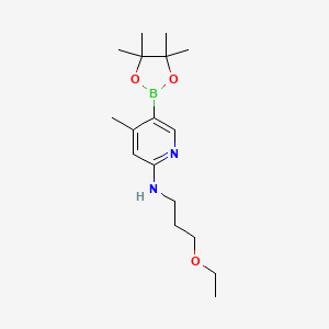molecular formula C17H29BN2O3 B567316 n-(3-Ethoxypropyl)-4-methyl-5-(4,4,5,5-tetramethyl-1,3,2-dioxaborolan-2-yl)pyridin-2-amine CAS No. 1351995-07-7