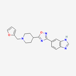 molecular formula C19H19N5O2 B5673791 5-{5-[1-(2-furylmethyl)-4-piperidinyl]-1,2,4-oxadiazol-3-yl}-1H-benzimidazole 