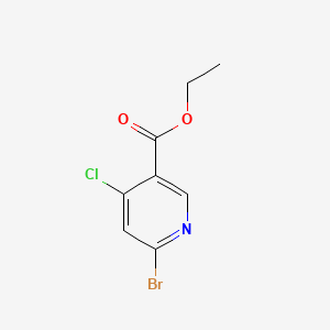 molecular formula C8H7BrClNO2 B567412 Ethyl 6-bromo-4-chloronicotinate CAS No. 1335054-04-0