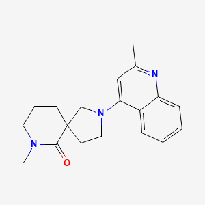 molecular formula C19H23N3O B5674312 7-methyl-2-(2-methylquinolin-4-yl)-2,7-diazaspiro[4.5]decan-6-one 
