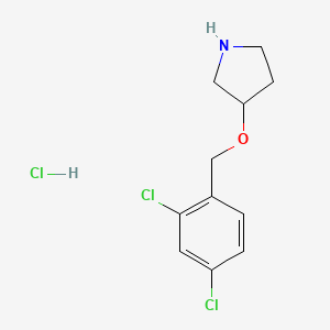 molecular formula C11H14Cl3NO B567462 3-((2,4-Dichlorobenzyl)oxy)pyrrolidine hydrochloride CAS No. 1220033-11-3