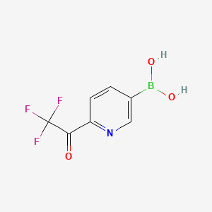 molecular formula C7H5BF3NO3 B567525 (6-(2,2,2-Trifluoroacetyl)pyridin-3-yl)boronic acid CAS No. 1310384-03-2