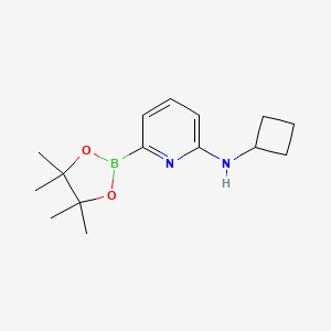 molecular formula C15H23BN2O2 B567556 N-Cyclobutyl-6-(4,4,5,5-tetramethyl-1,3,2-dioxaborolan-2-yl)pyridin-2-amine CAS No. 1315350-34-5