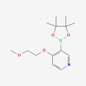molecular formula C14H22BNO4 B567561 4-(2-Methoxyethoxy)-3-(4,4,5,5-tetramethyl-1,3,2-dioxaborolan-2-yl)pyridine CAS No. 1350636-48-4