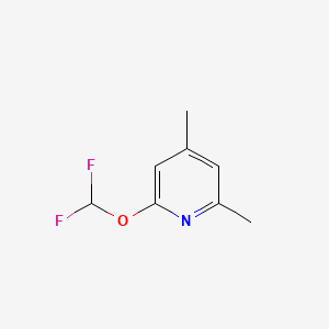 molecular formula C8H9F2NO B567574 2-(Difluoromethoxy)-4,6-dimethylpyridine CAS No. 1214379-04-0