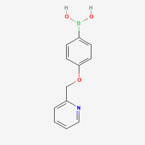 molecular formula C12H12BNO3 B567631 4-(吡啶-2-基甲氧基)苯硼酸 CAS No. 1228180-82-2