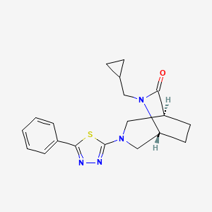 molecular formula C19H22N4OS B5676317 (1S*,5R*)-6-(cyclopropylmethyl)-3-(5-phenyl-1,3,4-thiadiazol-2-yl)-3,6-diazabicyclo[3.2.2]nonan-7-one 