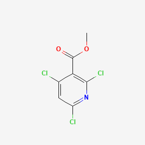 molecular formula C7H4Cl3NO2 B567634 甲基2,4,6-三氯烟酸酯 CAS No. 1218994-35-4