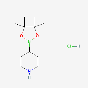 molecular formula C11H23BClNO2 B567635 4-(4,4,5,5-Tetramethyl-1,3,2-dioxaborolan-2-yl)piperidine hydrochloride CAS No. 1218790-99-8