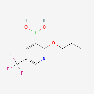 molecular formula C9H11BF3NO3 B567658 2-丙氧基-5-(三氟甲基)吡啶-3-硼酸 CAS No. 1218790-63-6