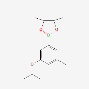 molecular formula C16H25BO3 B567685 2-(3-异丙氧基-5-甲基苯基)-4,4,5,5-四甲基-1,3,2-二氧杂硼烷 CAS No. 1218789-75-3