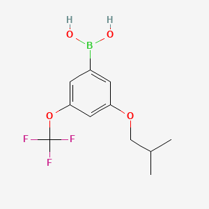 molecular formula C11H14BF3O4 B567773 3-Isobutoxy-5-(trifluoromethoxy)phenylboronic acid CAS No. 1256346-03-8