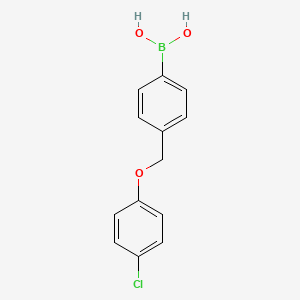 molecular formula C13H12BClO3 B567776 (4-((4-Chlorophenoxy)methyl)phenyl)boronic acid CAS No. 1256358-72-1