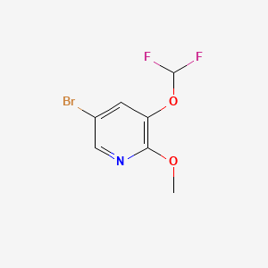 molecular formula C7H6BrF2NO2 B567786 5-Bromo-3-(difluoromethoxy)-2-methoxypyridine CAS No. 1241752-50-0