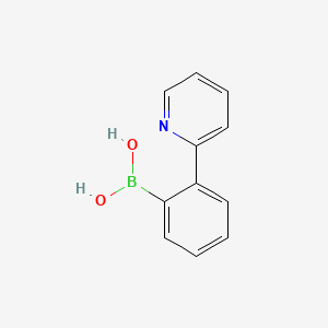 molecular formula C11H10BNO2 B567810 (2-(吡啶-2-基)苯基)硼酸 CAS No. 1243264-50-7