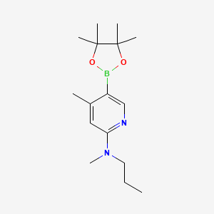 molecular formula C16H27BN2O2 B567850 n,4-Dimethyl-n-propyl-5-(4,4,5,5-tetramethyl-1,3,2-dioxaborolan-2-yl)pyridin-2-amine CAS No. 1351206-47-7