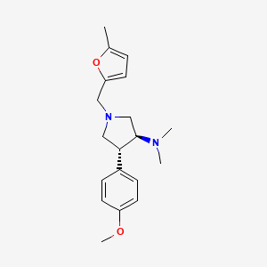 molecular formula C19H26N2O2 B5678553 (3S*,4R*)-4-(4-methoxyphenyl)-N,N-dimethyl-1-[(5-methyl-2-furyl)methyl]pyrrolidin-3-amine 