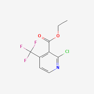molecular formula C9H7ClF3NO2 B567868 2-氯-4-(三氟甲基)烟酸乙酯 CAS No. 1221792-56-8