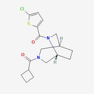 molecular formula C17H21ClN2O2S B5679148 (1S*,5R*)-6-[(5-chloro-2-thienyl)carbonyl]-3-(cyclobutylcarbonyl)-3,6-diazabicyclo[3.2.2]nonane 