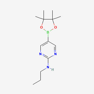 molecular formula C13H22BN3O2 B567947 N-丙基-5-(4,4,5,5-四甲基-1,3,2-二氧杂硼环-2-基)嘧啶-2-胺 CAS No. 1218791-47-9