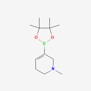molecular formula C12H22BNO2 B567976 1-甲基-5-(4,4,5,5-四甲基-1,3,2-二氧杂硼烷-2-基)-1,2,3,6-四氢吡啶 CAS No. 1254982-25-6