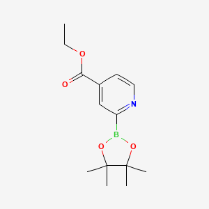 B568046 Ethyl 2-(4,4,5,5-tetramethyl-1,3,2-dioxaborolan-2-yl)isonicotinate CAS No. 1241898-91-8