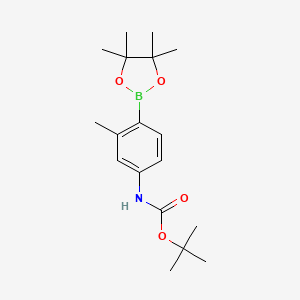 B568054 tert-Butyl (3-methyl-4-(4,4,5,5-tetramethyl-1,3,2-dioxaborolan-2-yl)phenyl)carbamate CAS No. 1256360-04-9