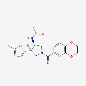 molecular formula C20H22N2O5 B5681006 N-[(3S*,4R*)-1-(2,3-dihydro-1,4-benzodioxin-6-ylcarbonyl)-4-(5-methyl-2-furyl)pyrrolidin-3-yl]acetamide 