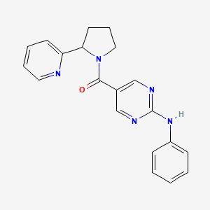 molecular formula C20H19N5O B5682312 N-phenyl-5-{[2-(2-pyridinyl)-1-pyrrolidinyl]carbonyl}-2-pyrimidinamine 