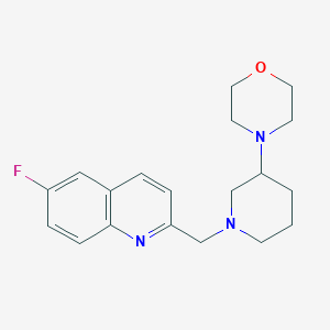 molecular formula C19H24FN3O B5682541 6-fluoro-2-{[3-(4-morpholinyl)-1-piperidinyl]methyl}quinoline 