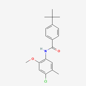 molecular formula C19H22ClNO2 B5683345 4-tert-butyl-N-(4-chloro-2-methoxy-5-methylphenyl)benzamide 