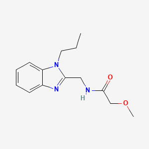 molecular formula C14H19N3O2 B5684356 2-methoxy-N-[(1-propyl-1H-benzimidazol-2-yl)methyl]acetamide 