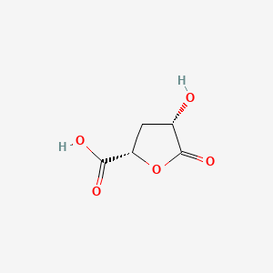 molecular formula C5H6O5 B568439 (2S,4S)-4-Hydroxy-5-oxotetrahydrofuran-2-carboxylic acid CAS No. 120742-25-8