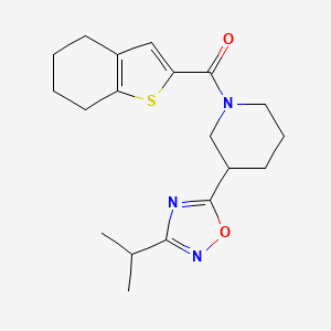molecular formula C19H25N3O2S B5685777 3-(3-isopropyl-1,2,4-oxadiazol-5-yl)-1-(4,5,6,7-tetrahydro-1-benzothien-2-ylcarbonyl)piperidine 