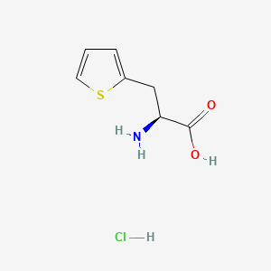 molecular formula C7H10ClNO2S B568649 (S)-2-amino-3-(thiophen-2-yl)propanoic acid hydrochloride CAS No. 123053-24-7