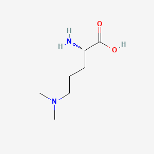 N,N-Dimethylornithine