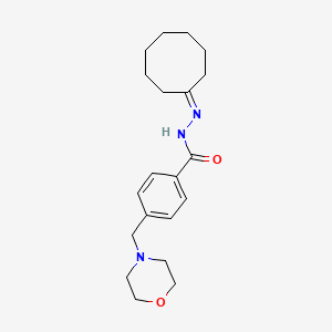 molecular formula C20H29N3O2 B5686747 N'-cyclooctylidene-4-(4-morpholinylmethyl)benzohydrazide 