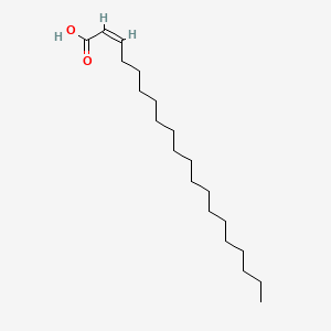 molecular formula C20H38O2 B568736 Eicosenoic acid, (Z)- CAS No. 93772-82-8