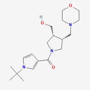 molecular formula C19H31N3O3 B5687402 [(3R*,4R*)-1-[(1-tert-butyl-1H-pyrrol-3-yl)carbonyl]-4-(4-morpholinylmethyl)-3-pyrrolidinyl]methanol 