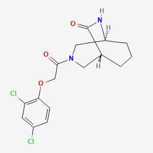 molecular formula C16H18Cl2N2O3 B5687724 (1S*,5R*)-3-[(2,4-dichlorophenoxy)acetyl]-3,9-diazabicyclo[3.3.2]decan-10-one 