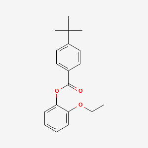 molecular formula C19H22O3 B5688728 2-ethoxyphenyl 4-tert-butylbenzoate 