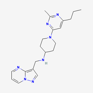 molecular formula C20H27N7 B5689405 1-(2-methyl-6-propylpyrimidin-4-yl)-N-(pyrazolo[1,5-a]pyrimidin-3-ylmethyl)piperidin-4-amine 